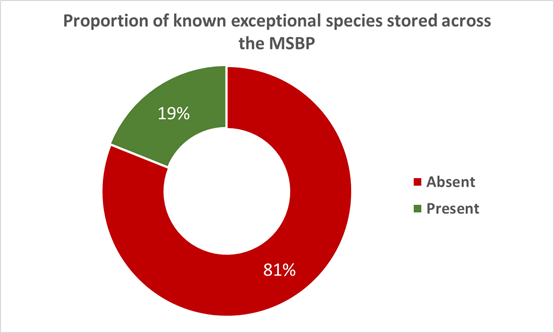 A doughnut graph showing that 19% of exceptional species are held within the MSBP collections, whilst 81% of species are not.